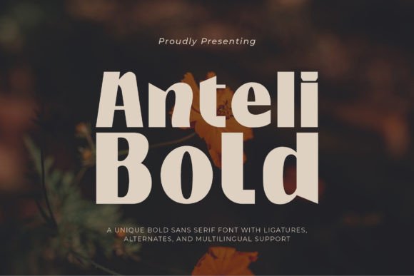 Anteli Bold: A Versatile Sans Serif Font for Crafters and Designers