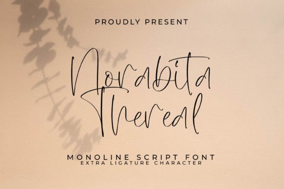 Discover Norabita Thereal for Modern Branding Projects