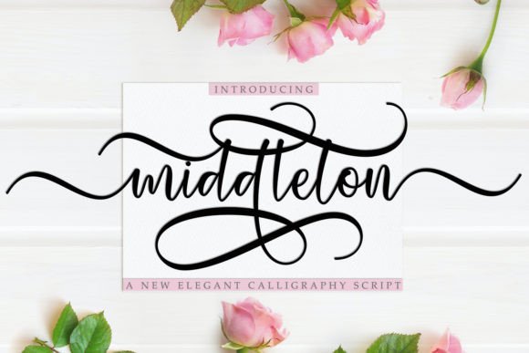 Font That Shapes Your Brand: The Power of Middleton
