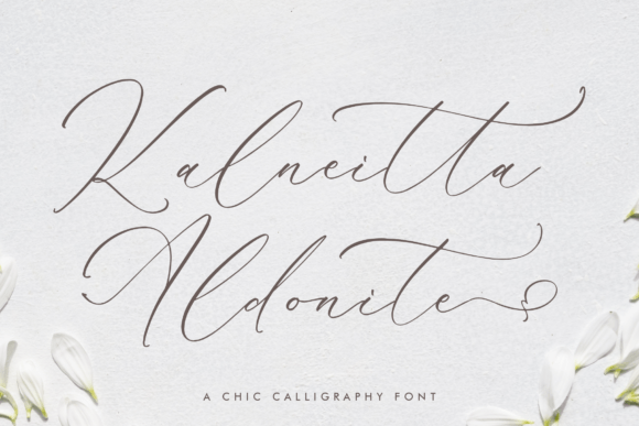 Kalneitta Aldonite: A Script Font for Campaign Creativity