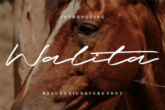 Walita: A Script Font That Adds Elegance to Every Craft Project